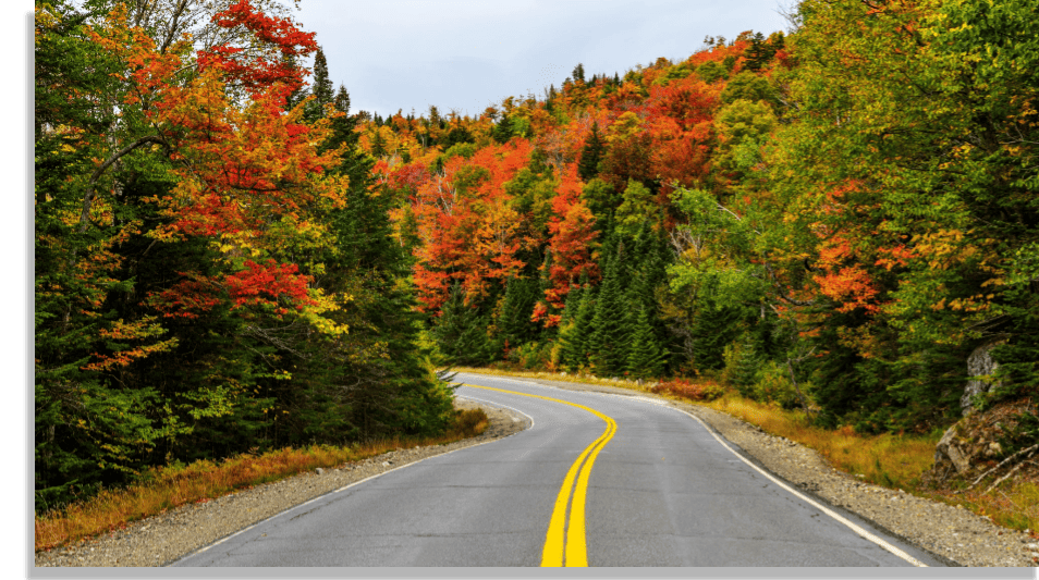 Palmyra ME Community Guide Allied Realty